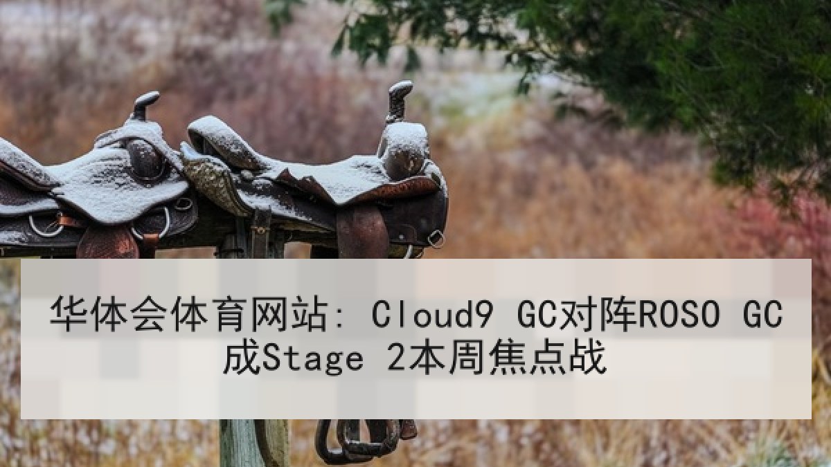 华体会体育网站: Cloud9 GC对阵ROSO GC成Stage 2本周焦点战