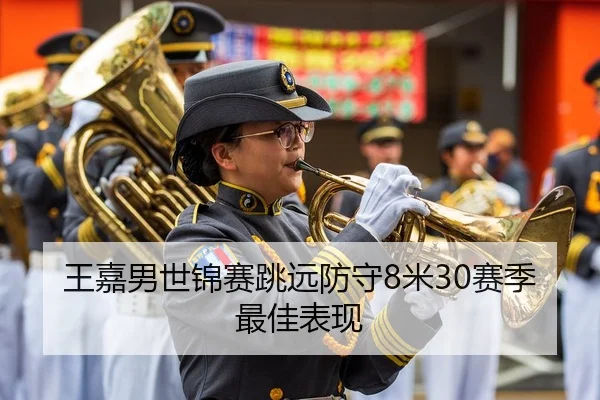 王嘉男世锦赛跳远防守8米30赛季最佳表现