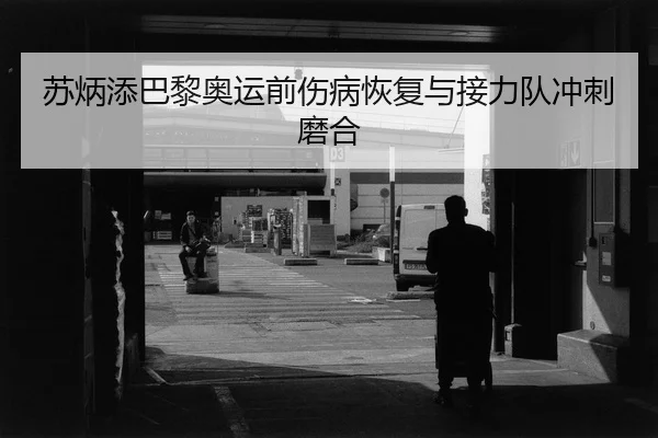 su-bing-tian-ba-li-ao-yun-qian-shang-bing-hui-fu-yu-jie-li-dui-chong-ci-mo-he-2-351.jpg