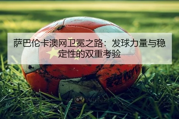 sa-ba-lun-ka-ao-wang-wei-mian-zhi-lu-fa-qiu-li-liang-yu-wen-ding-xing-de-shuang-chong-kao-yan-2-263.jpg